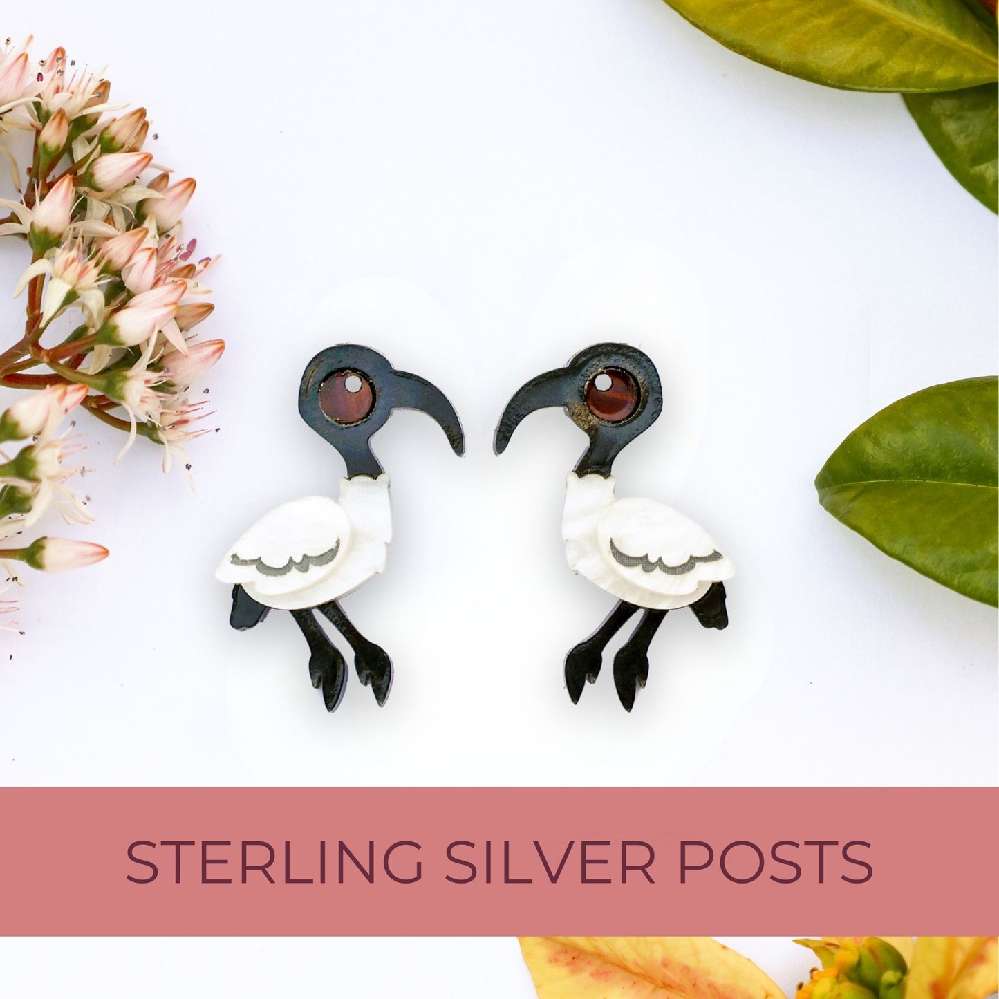 Ibis Studs - Bin Chickens - Statement Bird Earrings