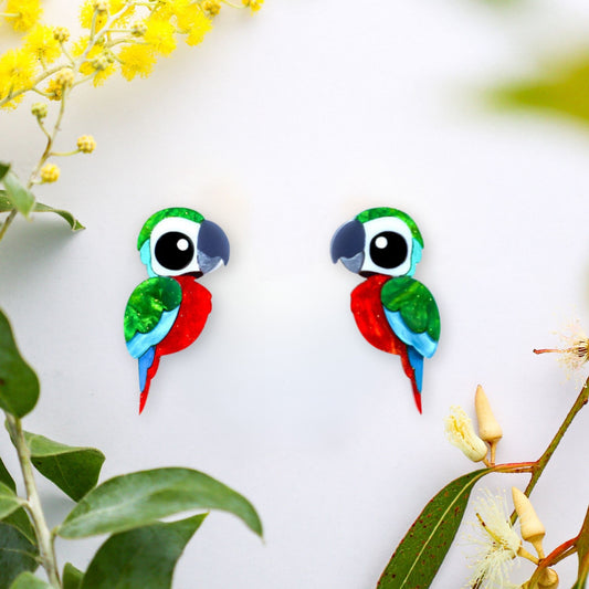 Harlequin Macaw Studs - Statement Bird Earrings