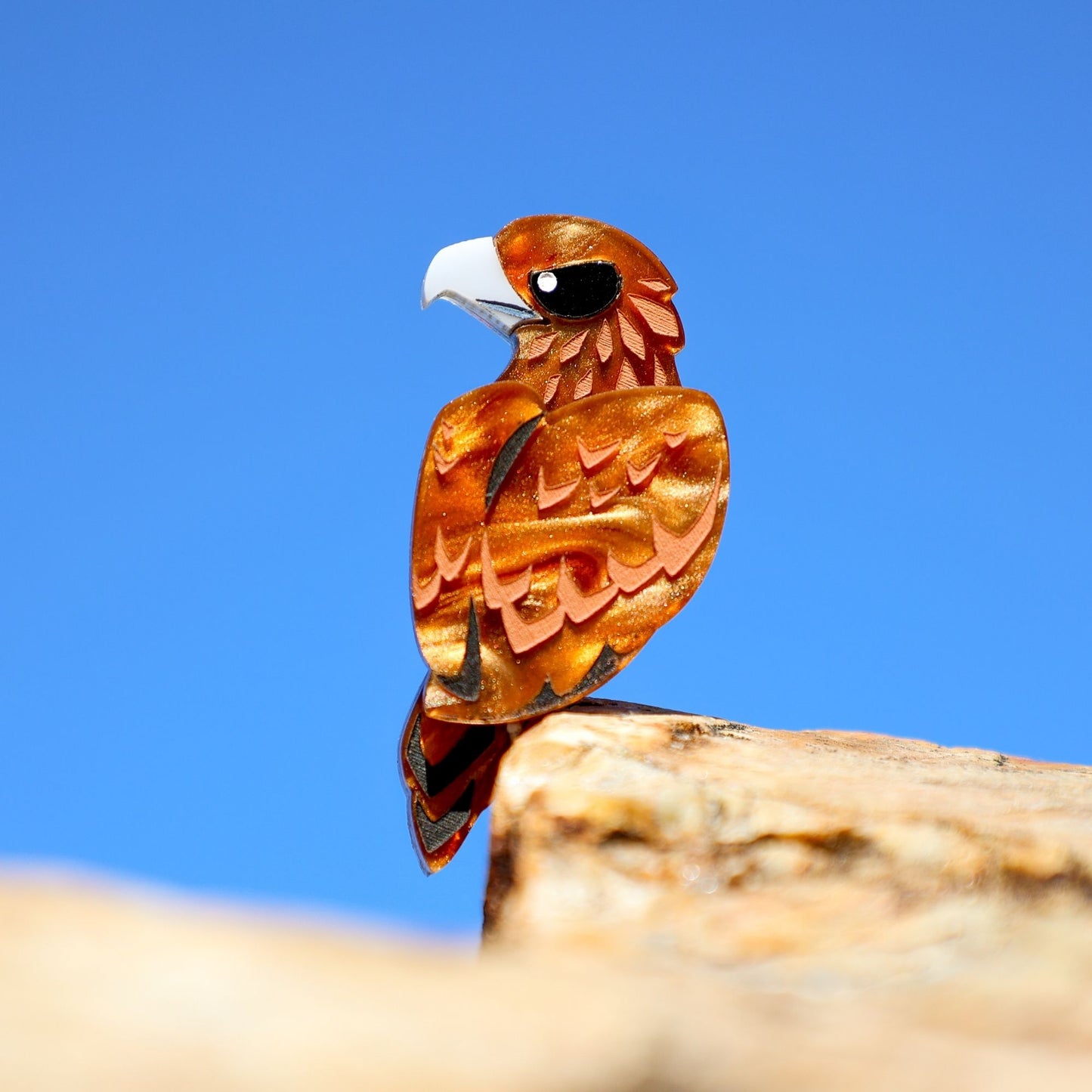 BINKABU Wedge-Tailed Eagle Studs handmade acrylic bird earrings