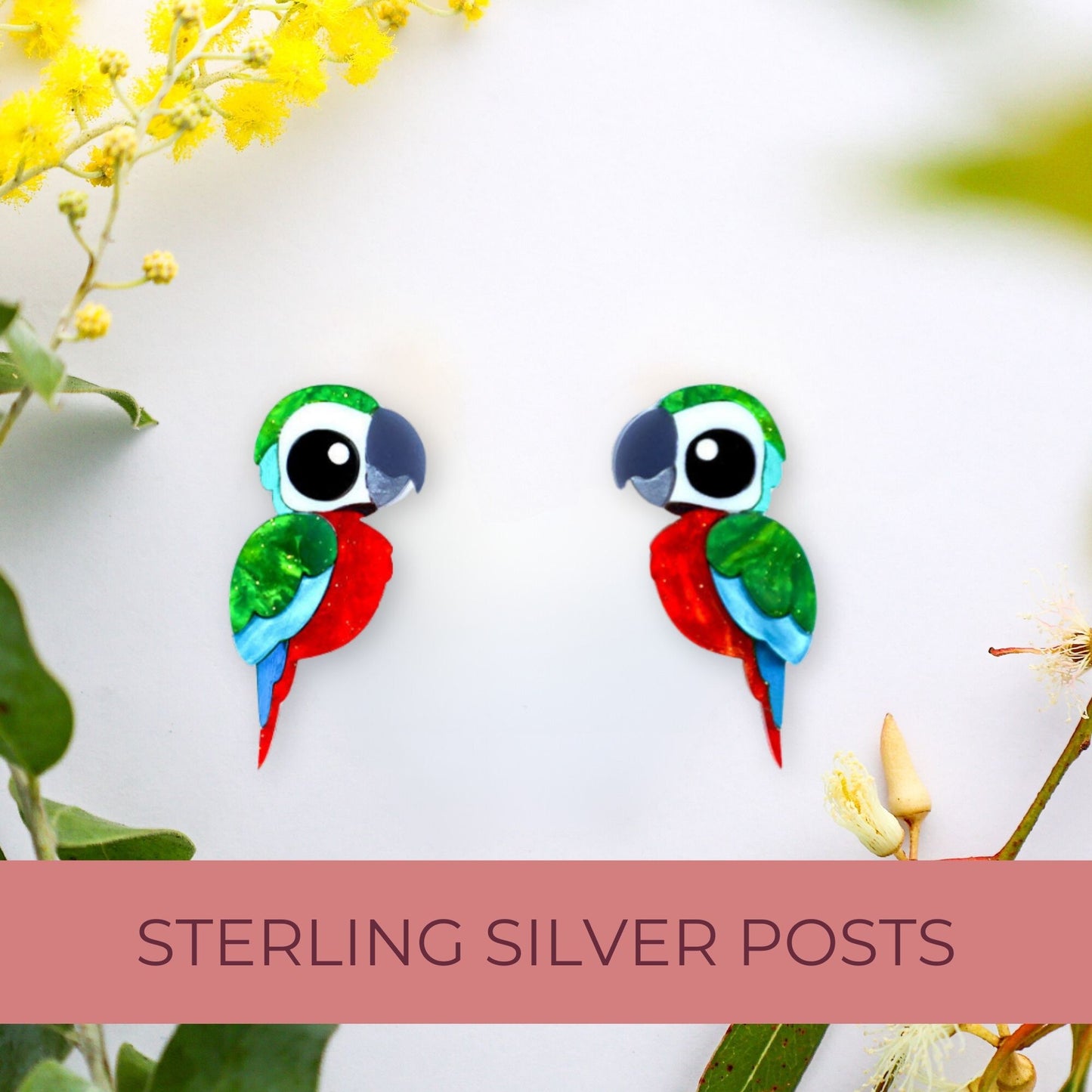 Harlequin Macaw Studs - Statement Bird Earrings