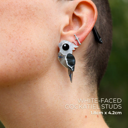 NEW White-Faced Cockatiel Studs - Handmade Bird Earrings