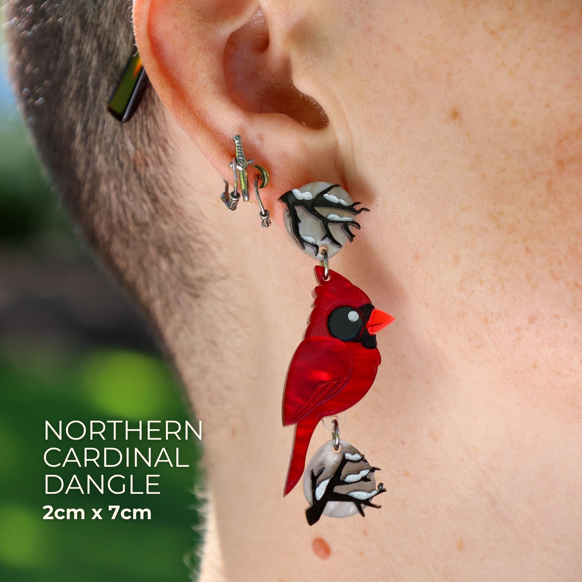 Northern Cardinal Dangles