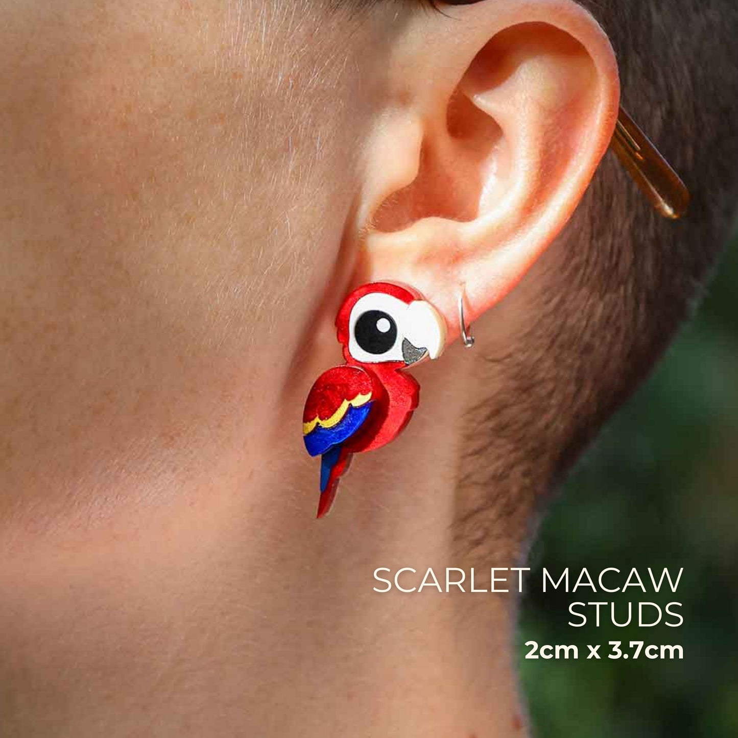 BINKABU Scarlet Macaw Handmade Acrylic Bird Earrings