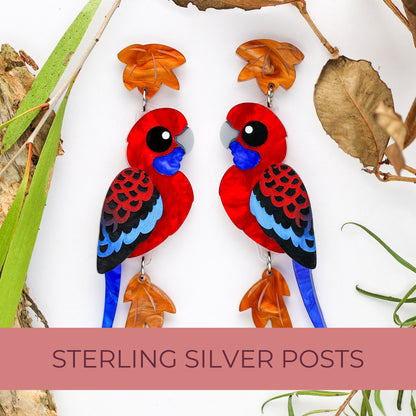 BINKABU Crimson Rosella handmade acrylic bird earrings