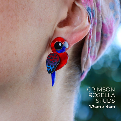 BINKABU Crimson Rosella handmade acrylic bird earrings