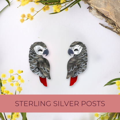 BINKABU African Grey Parrot handmade acrylic bird earrings