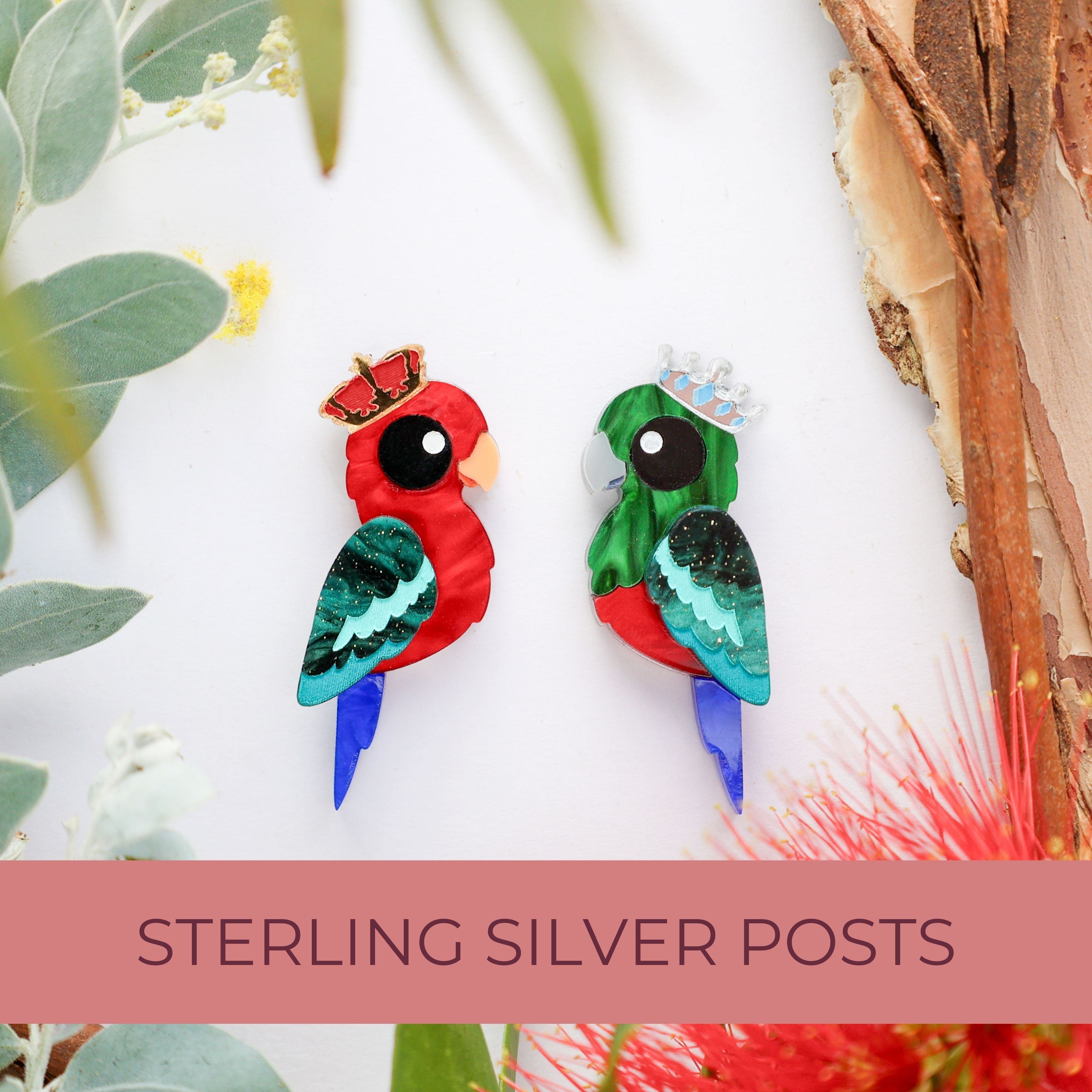 BINKABU Acrylic King Parrot Earrings Statement Bird Earrings