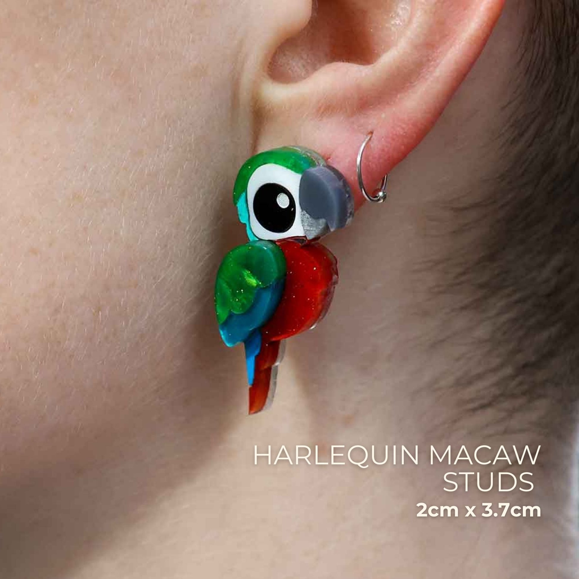 BINKABU Harlequin Macaw handmade acrylic bird earrings