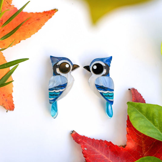 Blue Jay Studs - North American Bird Earrings