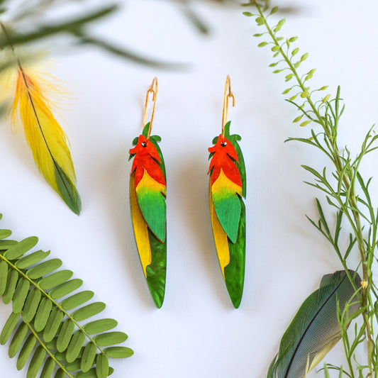 BINKABU Foraged Feathers - Rainbow Lorikeet handmade acrylic bird earrings