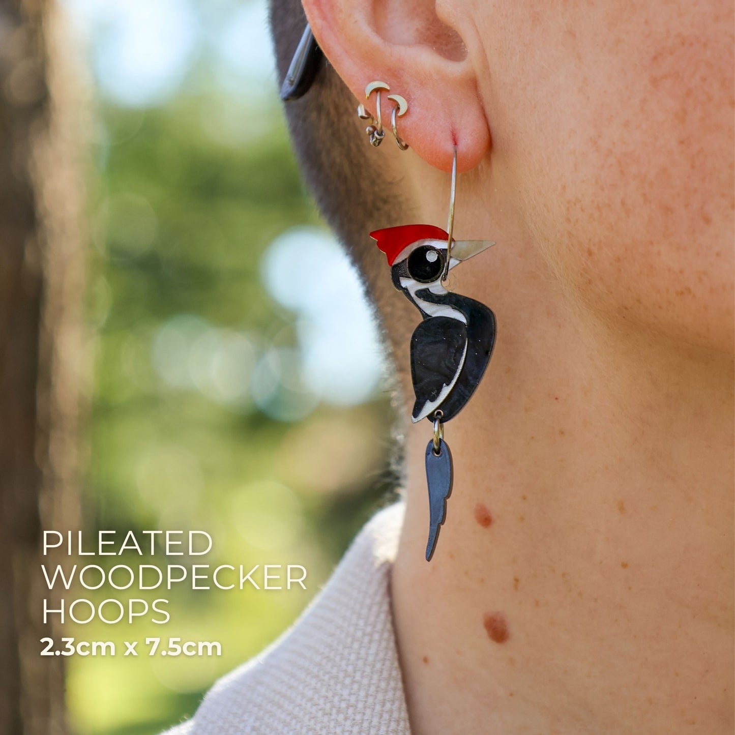 Pileated Woodpecker Hoops - North American Acrylic Bird Earrings