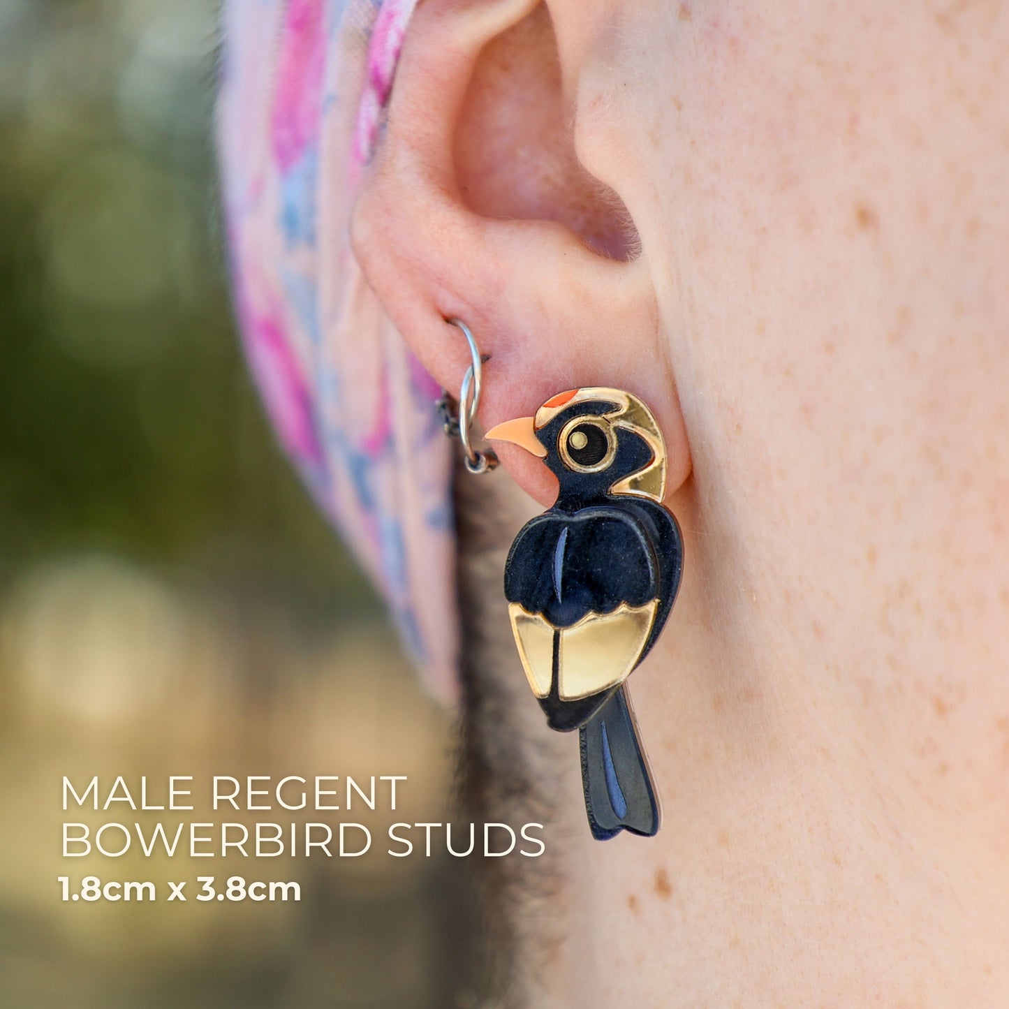 BINKABU Regent Bowerbird handmade acrylic bird earrings