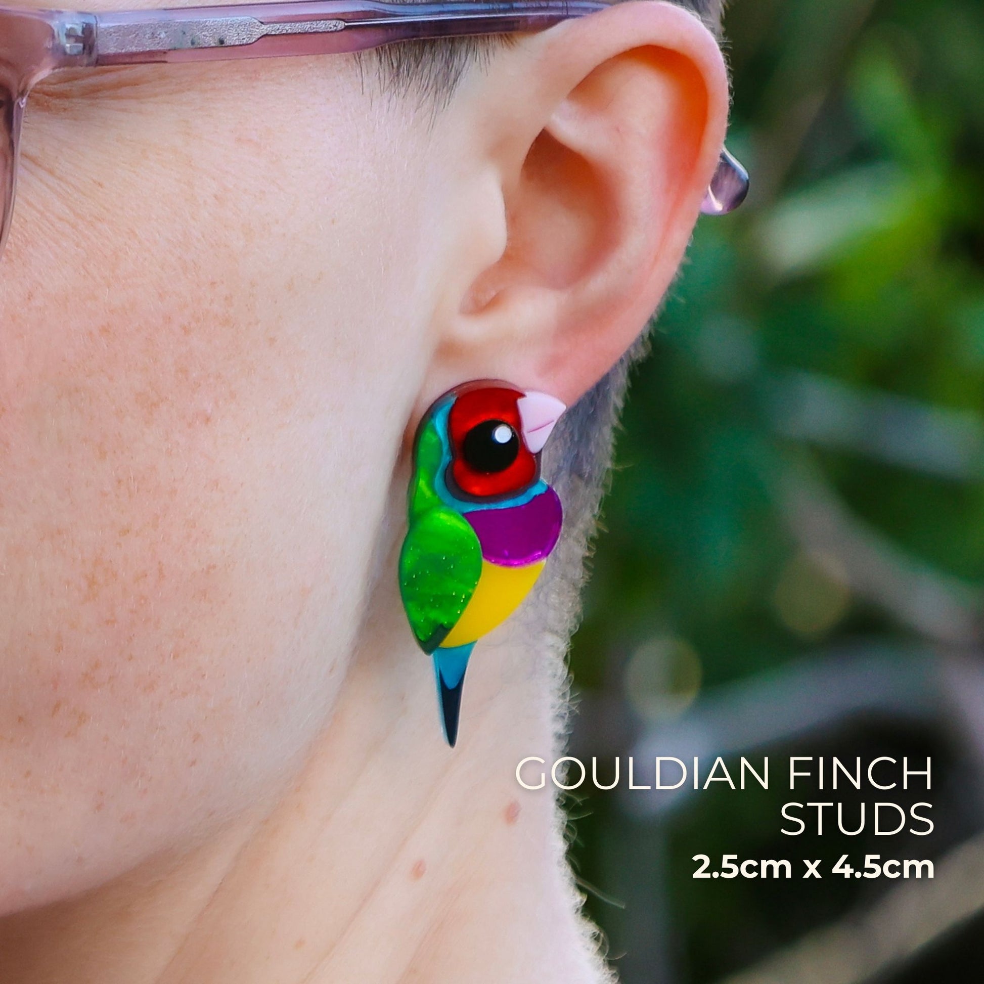 BINKABU Gouldian Finch Studs Handmade Bird Earrings