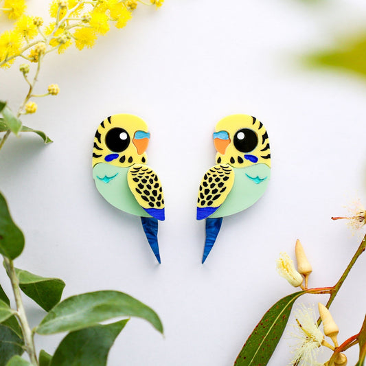 NEW Green & Yellow Budgie Studs - Statement Acrylic Bird Earrings