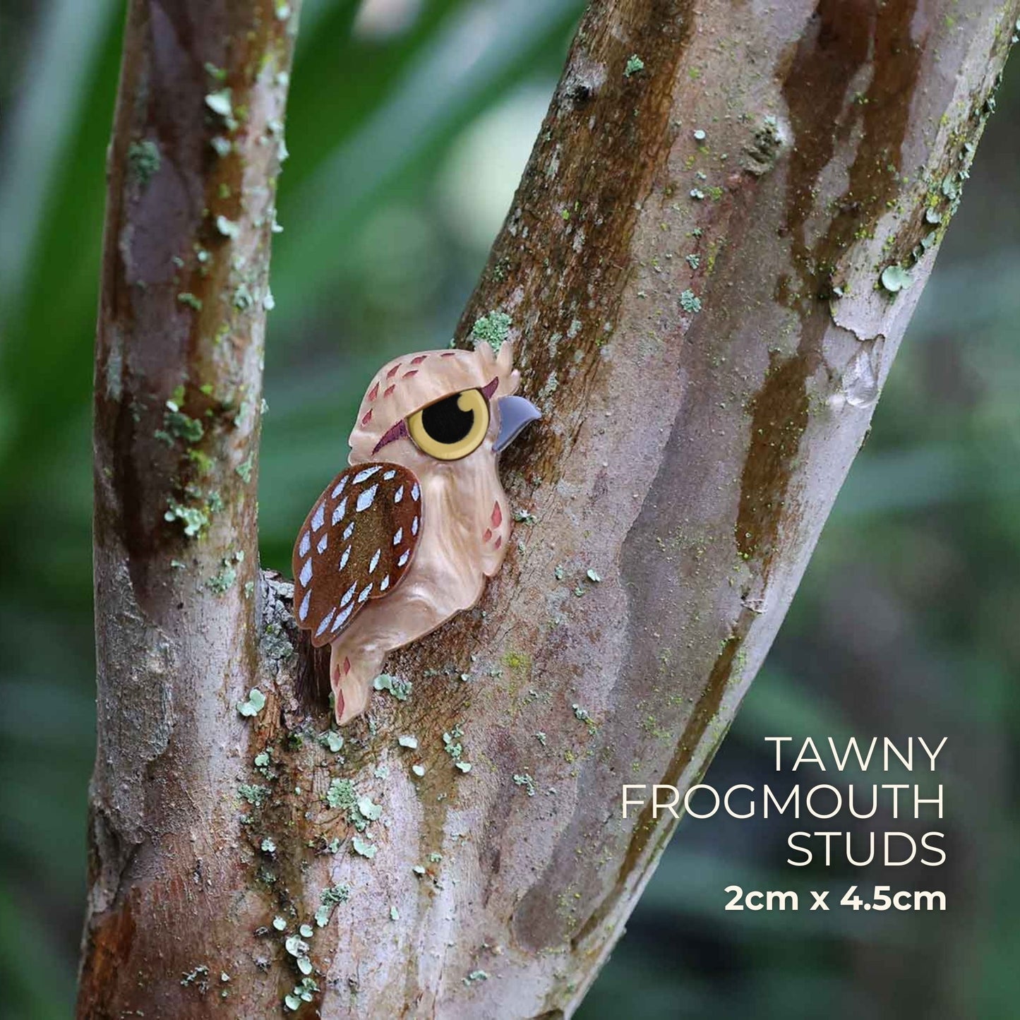 Tawny Frogmouth Earrings - Statement Bird Earrings