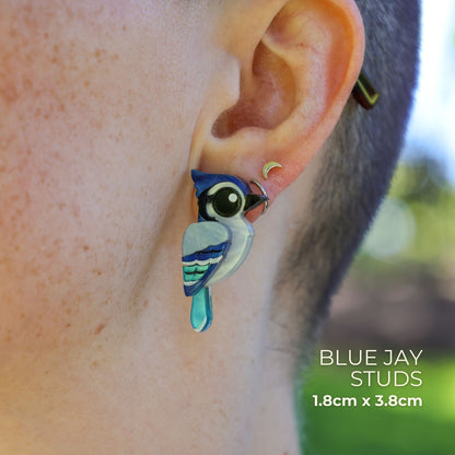 BINKABU Blue Jay studs handmade acrylic bird earrings