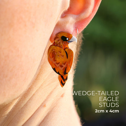 Wedge-Tailed Eagle Studs - Birds of Prey Earrings
